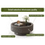 Table basse 31,5 po-133488666-133488669