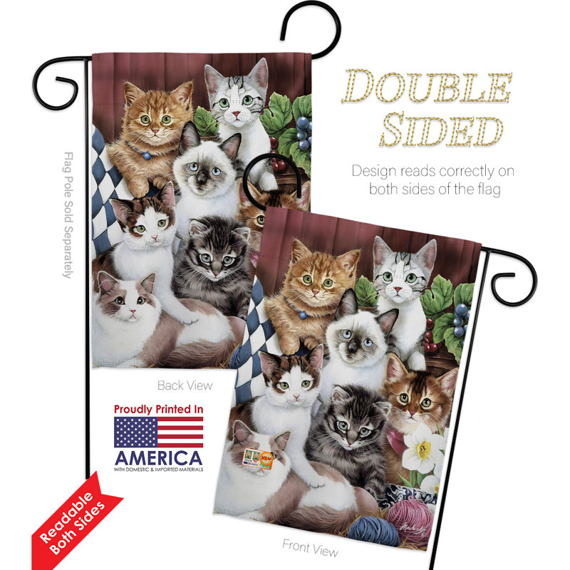 Chatons moelleux en polyester à 2 faces 19 x 13 po ensemble de drapeaux