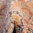 Alkire Oriental Area Rug-1631847070-1675488924