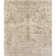 Oriental Indoor Rug