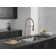Theodora Pro Commercial Pull Down Sprayer Kitchen Sink Faucet, add ShieldSpray to spray options