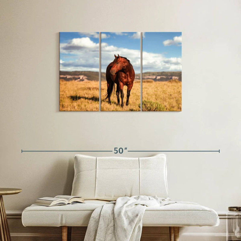 Wild Quarter Horse, 24" H x 38" W