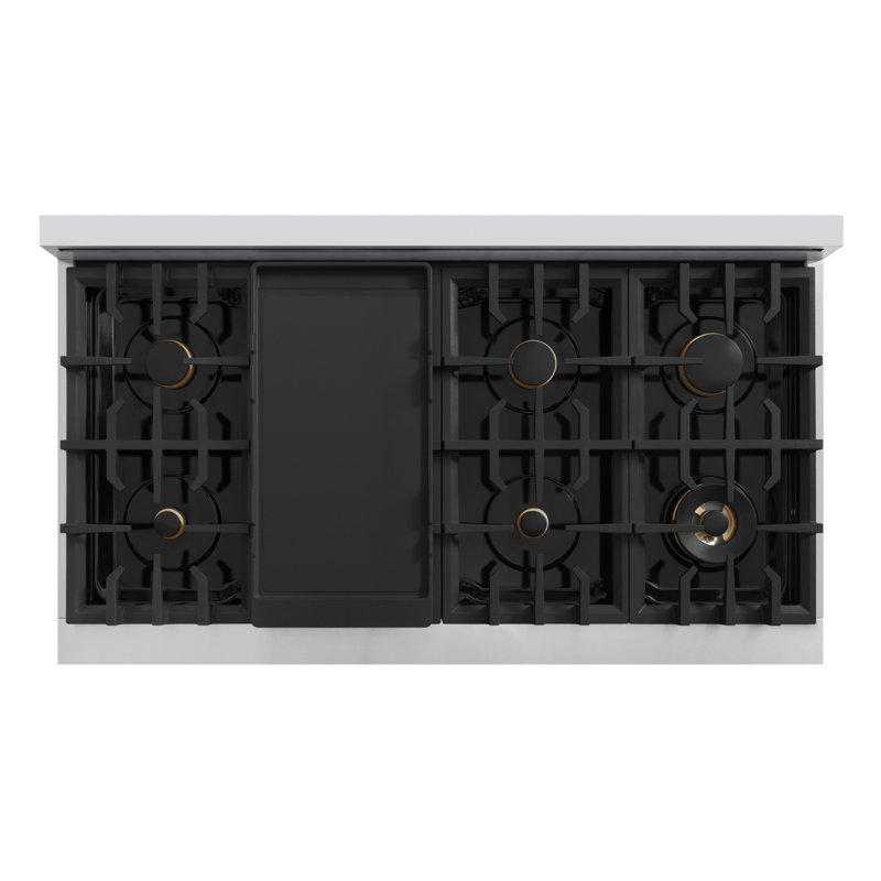 48" Stainless Steel Double Oven Gas Range with 8 Brass Burners