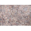 Tapis de salon traditionnel 7 x 10