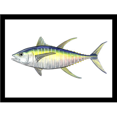 " Fin Tuna " by Damon Crook