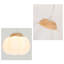 Luminaire suspendu moderne citrouille