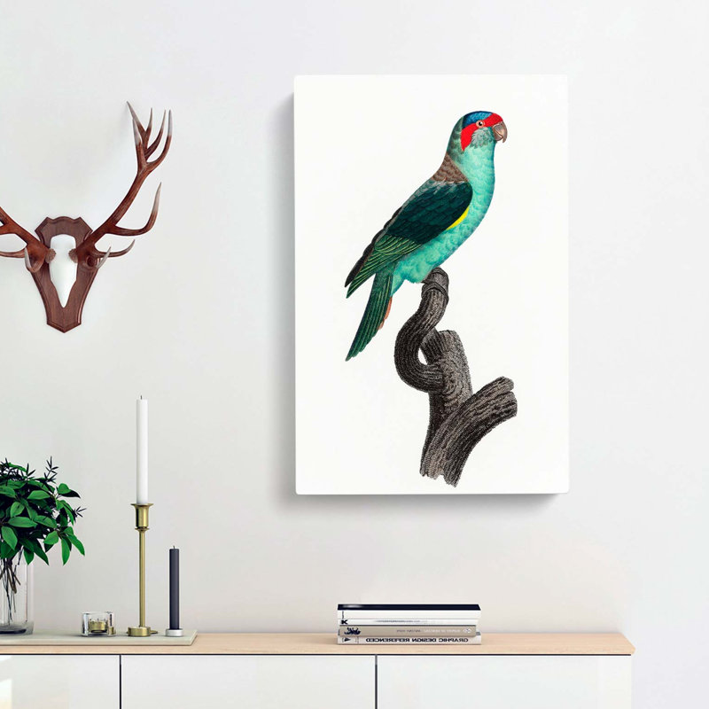 A Musk Lorikeet by F. Levaillant - Wrapped Canvas Painting, 50cm H x 35cm W x 3cm D