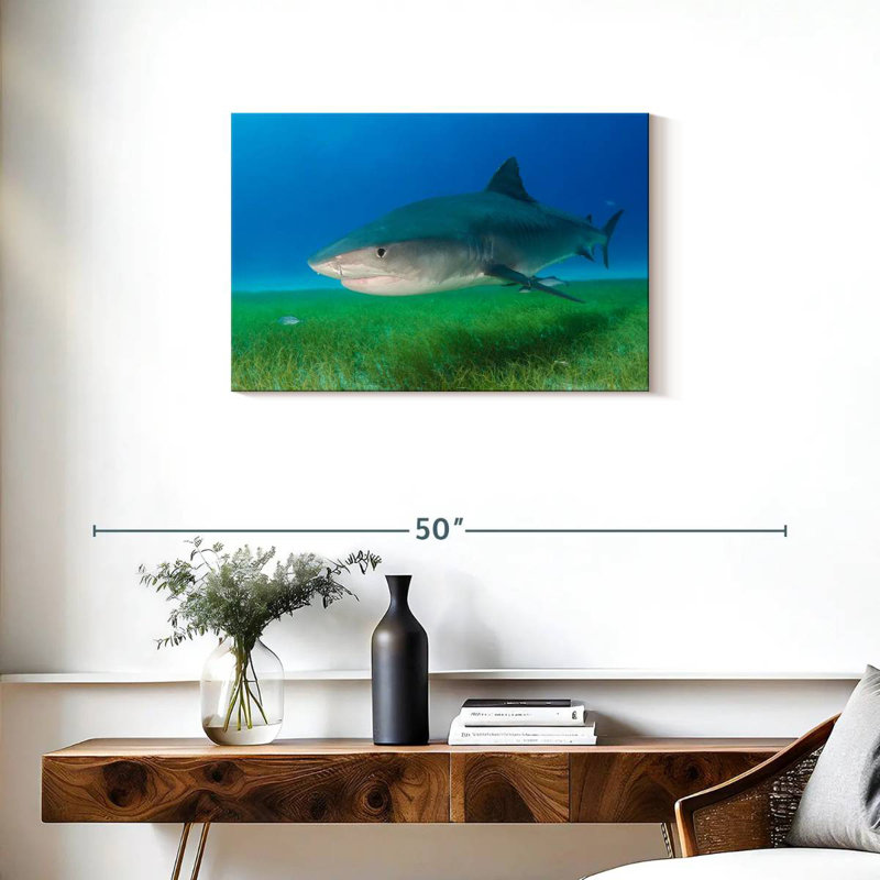 Tiger Shark On Sea Grass, 20" H x 30" W