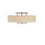 4 - Light Semi Flush Mount