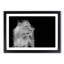 Wild Lioness in Abstract - Framed Print-55768534-55768538