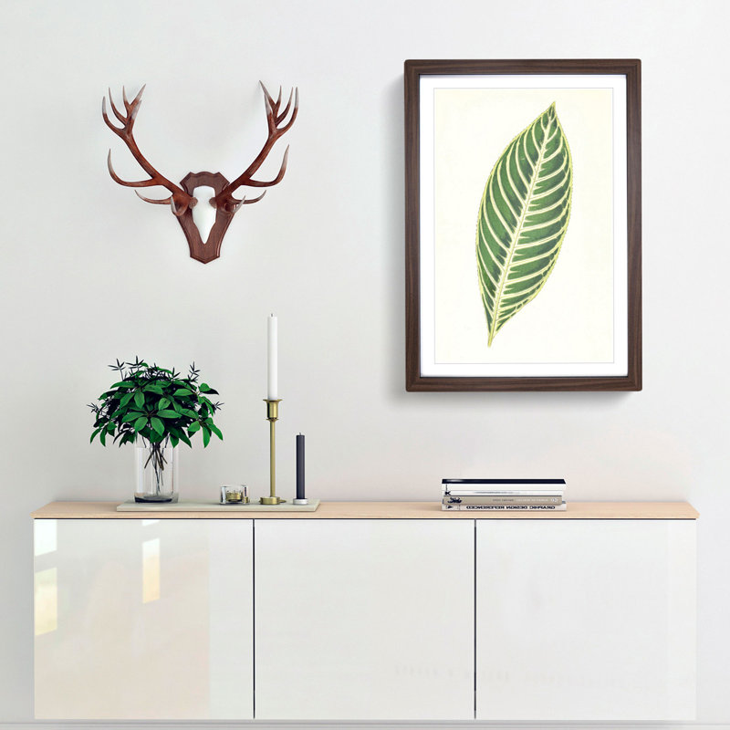 Tiger Plant Leaf by Benjamin Fawcett - Picture Frame Painting Print, 76cm H x 50cm W x 2cm D, Walnut