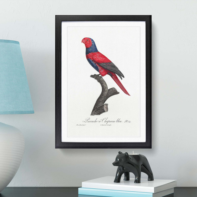 Violet-Necked Lory by F. Levaillant - Picture Frame Painting Print, 65cm H x 48cm W x 2cm D, Black Framed
