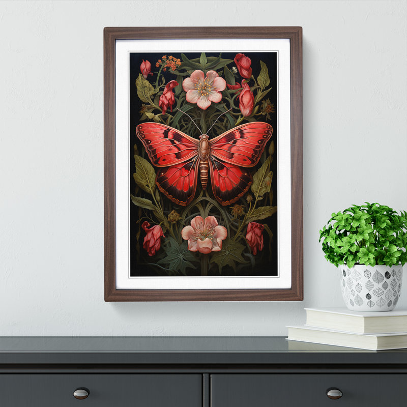Moth Realism - Single Picture Frame Print on Wood, Walnut Framed, 64cm H x 46cm W x 2cm D