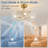 15.8" Modern Crystal Gold Ceiling Fan with Dimmable Light, 3 Speeds, Reverse and Remote Included-197501511