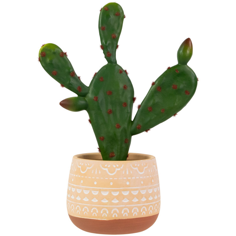 9,5 plantes