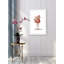« flamand », impression-34379614-34379616