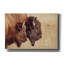 «Bison pair» par Nathan Larson, art mural sur toile-891639138