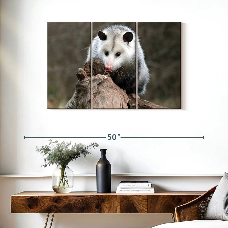 Bramble opossum, H 24 po x l 38 po