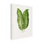 Art sur toile, bolologien, Les Plantes, vert-103094630