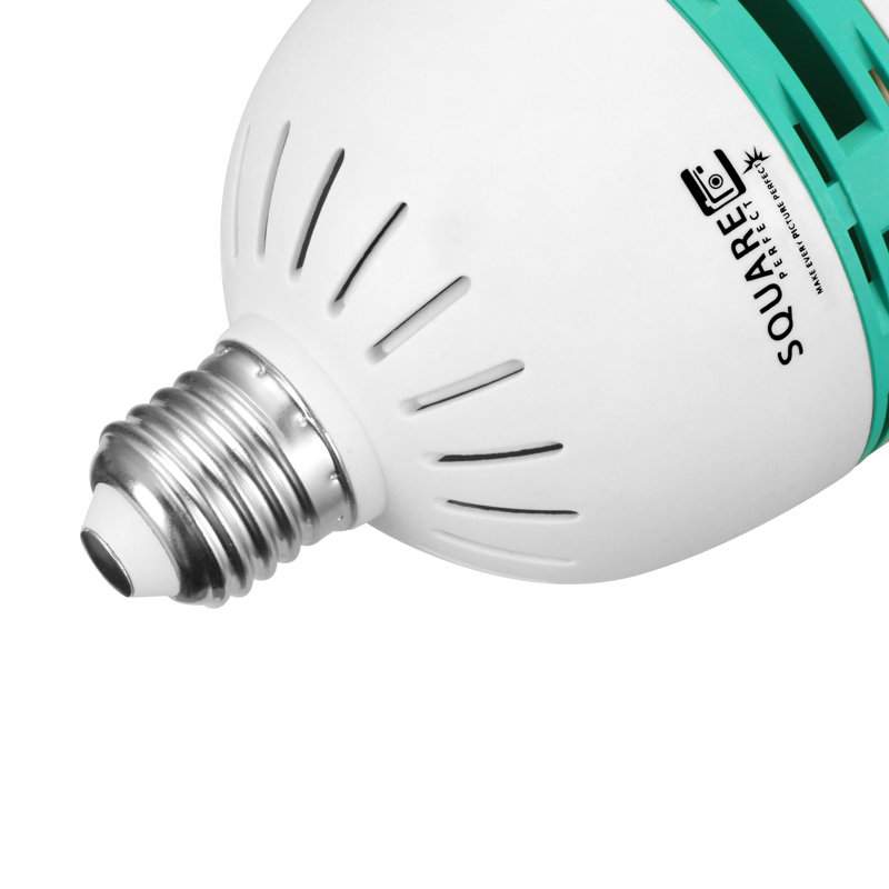 Ampoule fluorescente compacte intégrée (5500k)