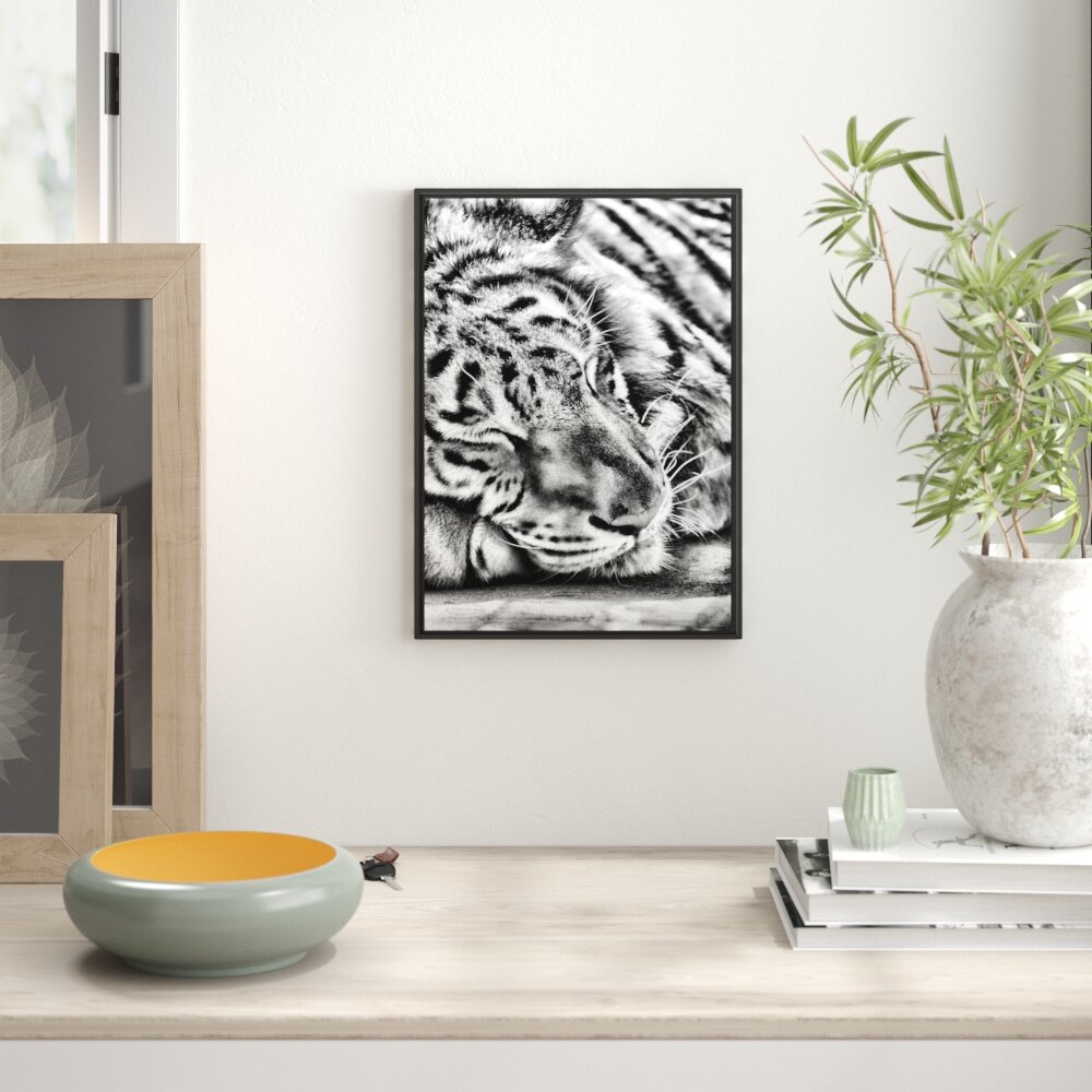 Gerahmtes Wandbild Tiger schläft