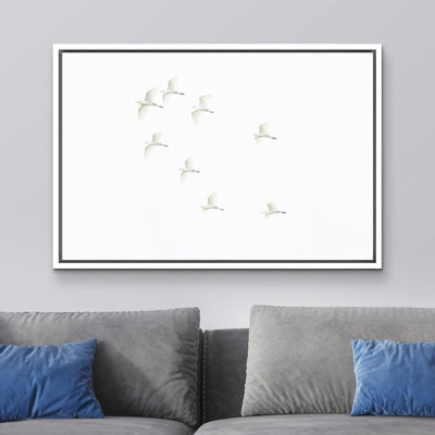 Bird " Duotone White Gray Birds Flying In Sky "