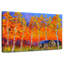 Trembles d'Alvord en automne-106307124