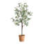 Olivier en pot Uttermost Olea