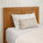 Jeinny Solid Wood Platform Bed with Matching Footboard & Trundle-586384570-544508078