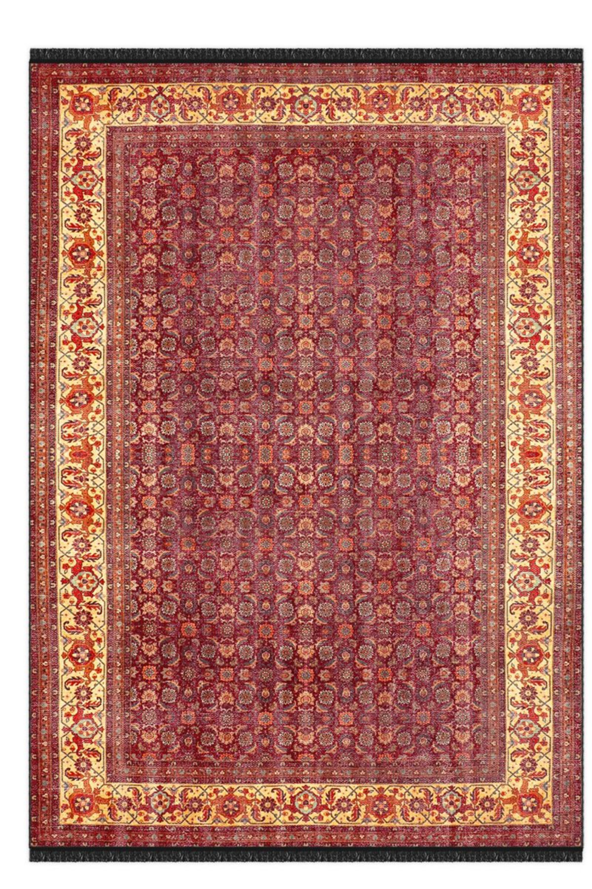 Bungalow Rose Seti Cotton Indoor/Outdoor Area Rug - Wayfair Canada