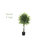 Ficus Tree Topiary Artificial Plant