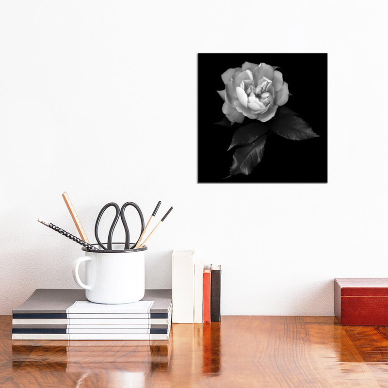 White Rose by Magda Indigo - Wrapped Canvas Gallery-Wrapped Canvas Giclée, 30.48cm H x 30.48cm W