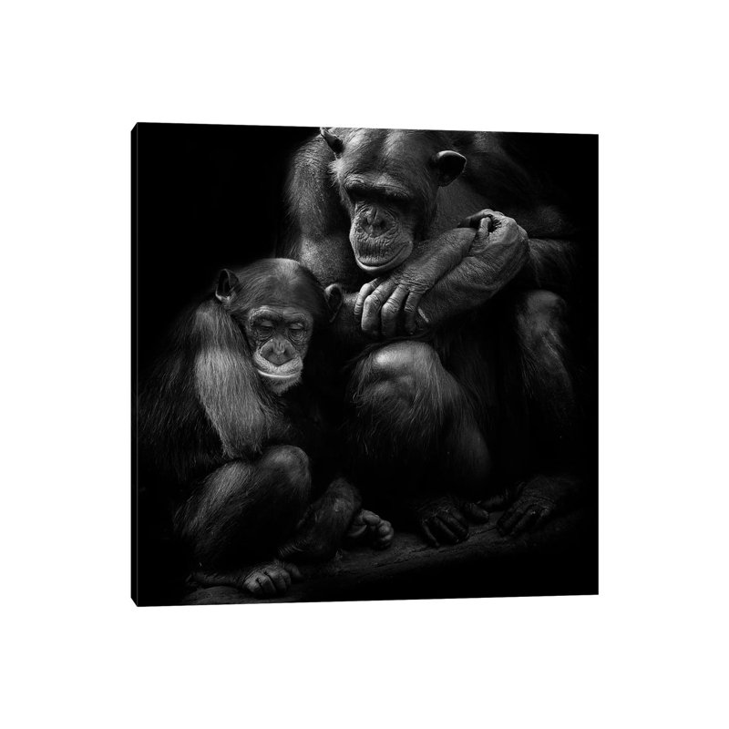 Chimpanzee Family 1 Piece Wrapped Canvas Painting, 30.48 cm H x 30.48 cm W