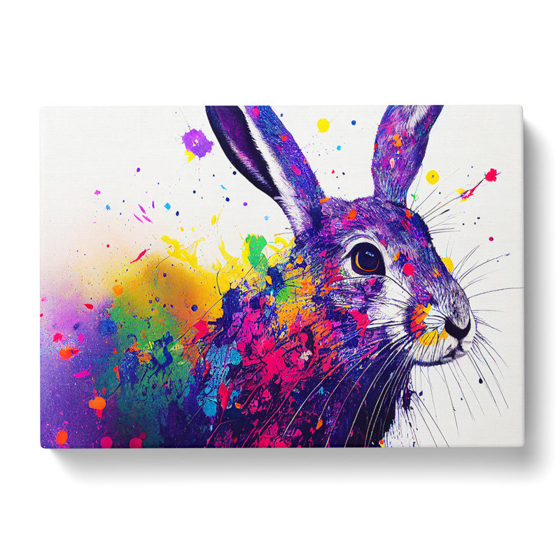 Hare Splash Vol.4 Abstract - Wrapped Canvas, 35cm H x 50cm W x 3cm D