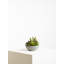 29cm Faux Succulent Plant in Stone Planter