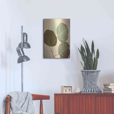 «Eucalyptus Color» par Debra Van Swearingen