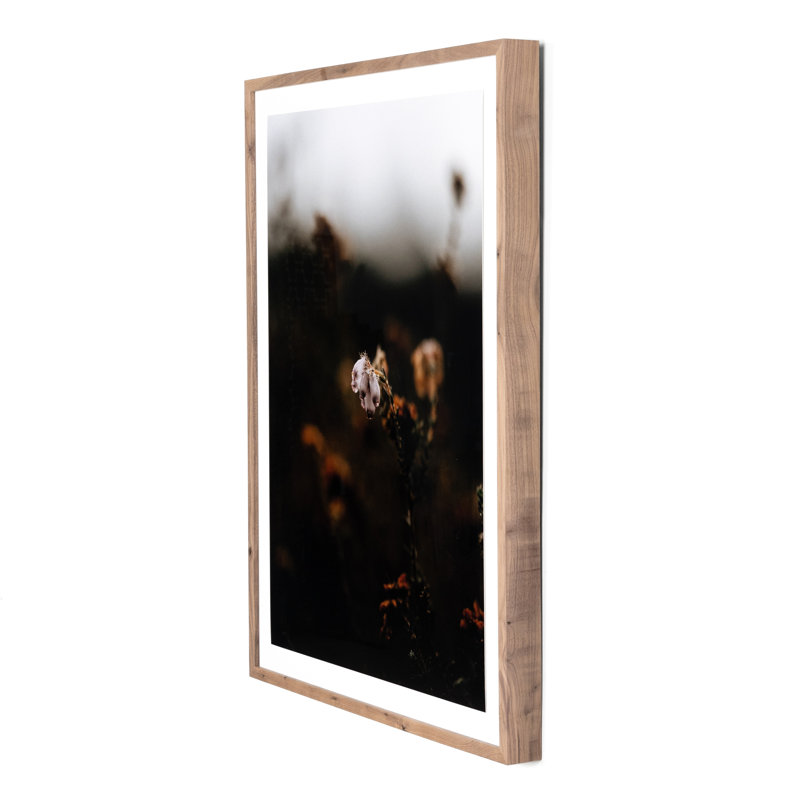 Escape II Print by Annie Spratt, 40" H x 30" W x 2.5" D