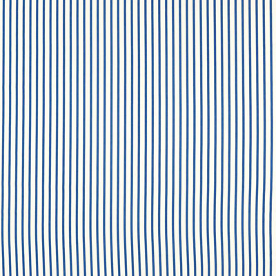 Ribbon Stripe Fabric