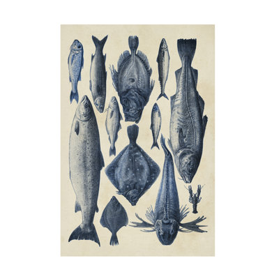 Wrapped Canvas Wall Art - Alicia Longley  'Blue Fish Chart I' Wall Art for Living Room, Bedroom, or Office Décor - 30x47