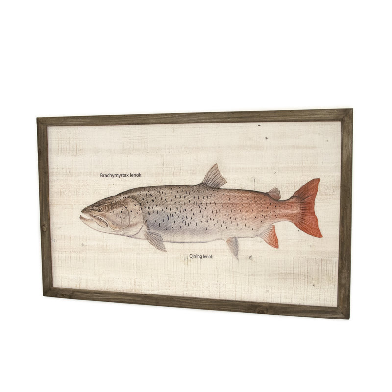 Qinling Lenok Print, 23.5" H x 39.5" W x 1.5" D