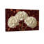 Plantes et fleurs Fleurs blanches sur fond rouge à motifs-1855048130
