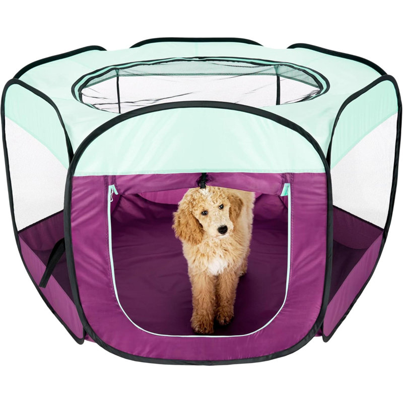 Cage portative pliable pour chien
