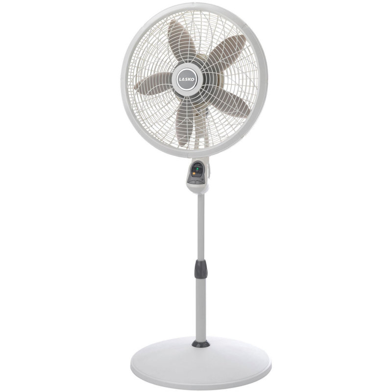 Oscillating Pedestal Fan