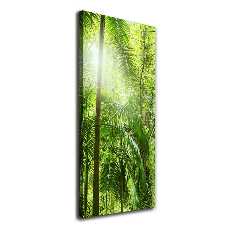 The Rainforest - Wrapped Canvas Print