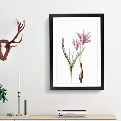 Pink Autumn Crocus Flowers by Pierre-Joseph Redoute - Picture Frame Painting Print