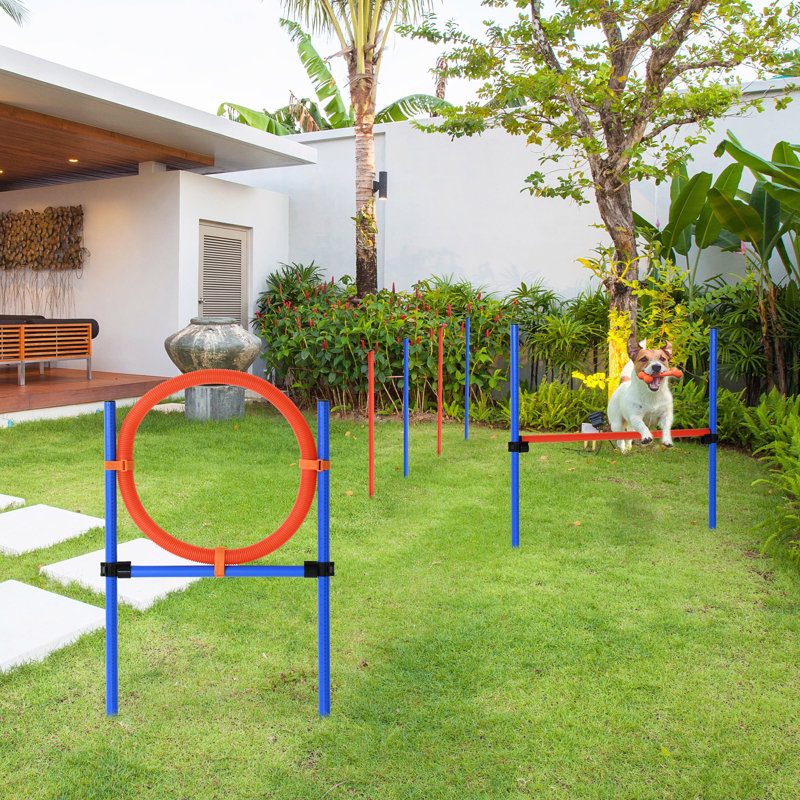 Agility Set Training Hurdle Jump Hoop Pole, 86cm H x 100cm W x 100cm D