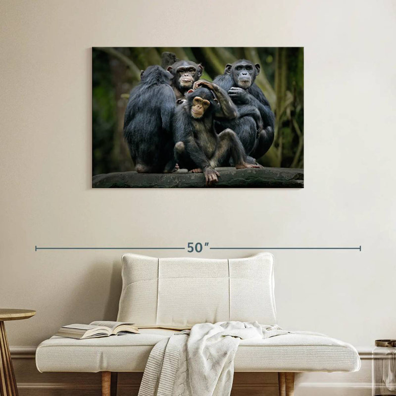 Crowle Chimps And Bonobos, 26" H x 39" W