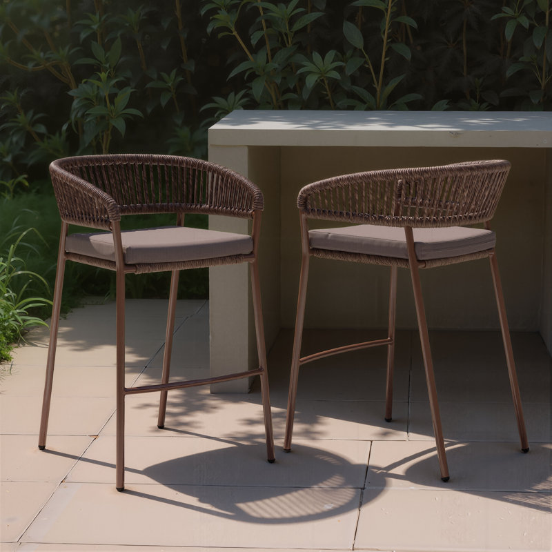Skye Barstool (Set Of 2) Brown