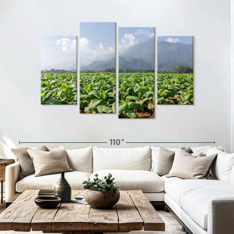 Alvord Tobacco Green Fields
