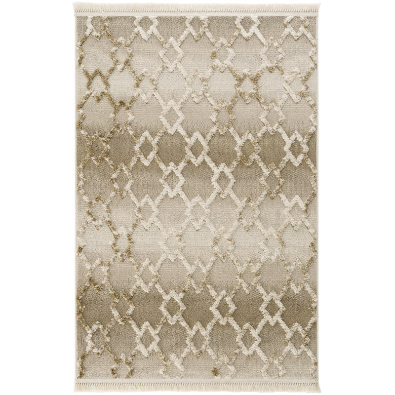 Remas Geometric Indoor / Outdoor Area Rug, Rectangle 2'7" x 4'11"